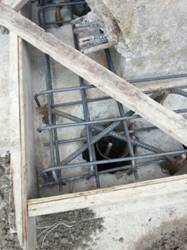 mmexport1474471236090